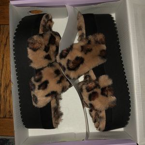 I have too many slippers